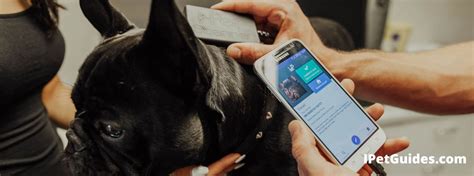 can nfc read pet microchip|can i scan my pet microchip.